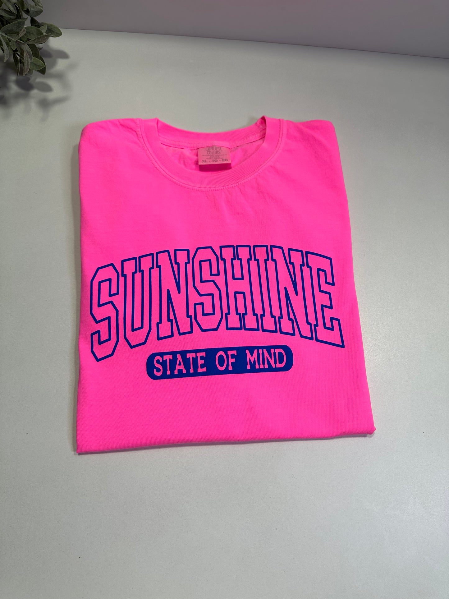 Sunshine State of Mind Neon Comfort Colors T-Shirt – Puff Print Summer Tee